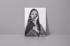 Flyer.1